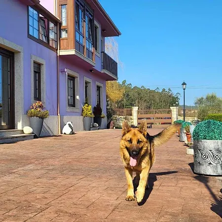 別荘 Ag Casa De Aldea Laxe Con Jardin Y Playa A 7km